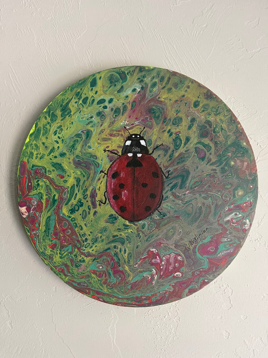 Ladybug