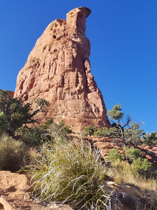 Vortex Tour Sedona, AZ; Soldiers Pass